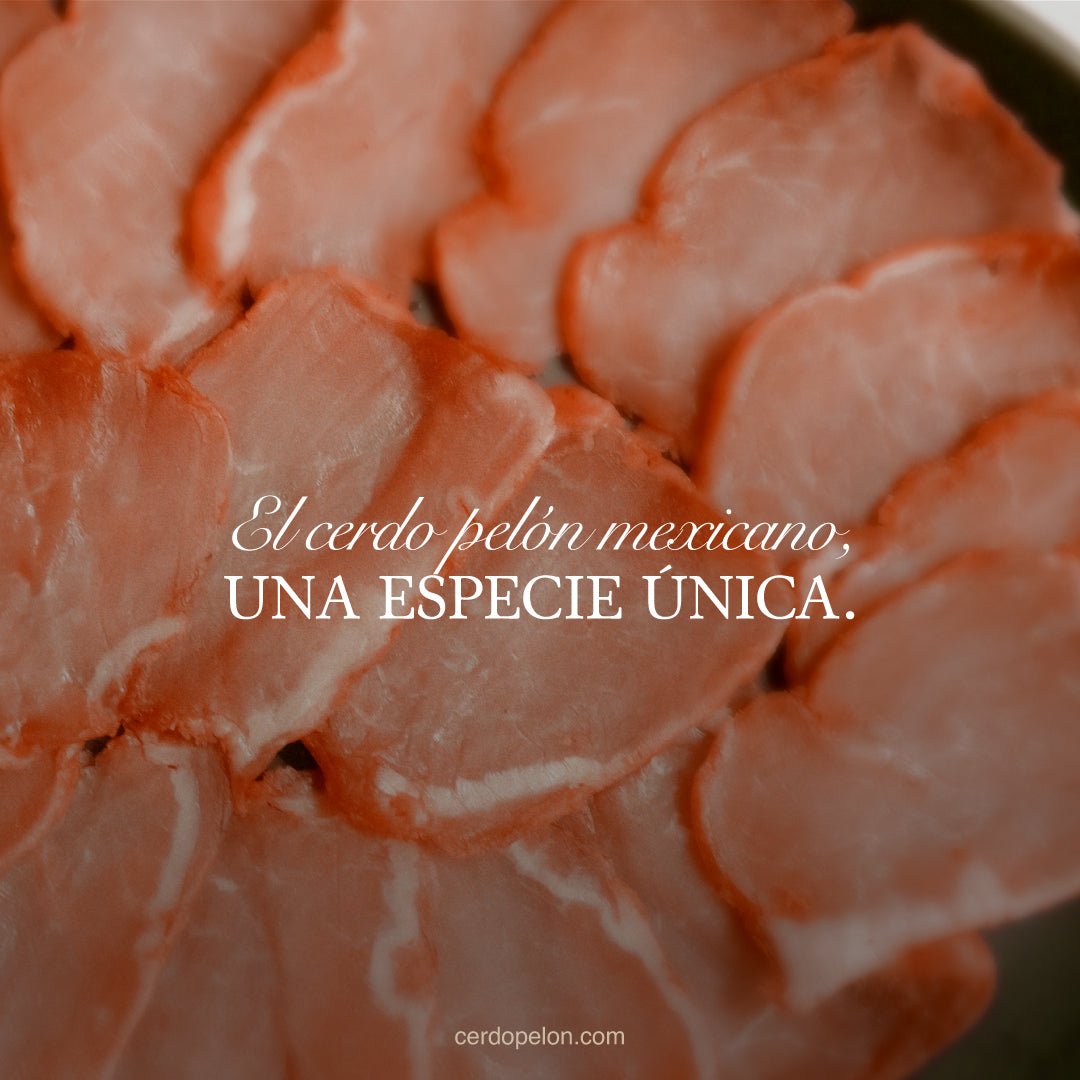 LOMO - Cerdo Pelón Mexicano